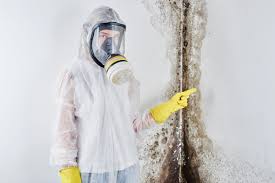 Best Mold Prevention Services  in Nixon, TX